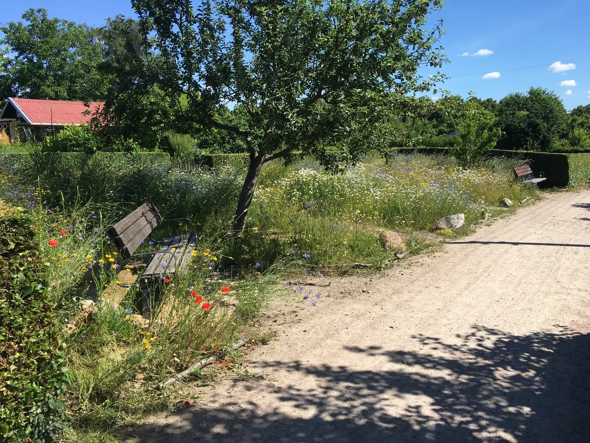 Dynamik der Wiese im Wandel der Jahreszeiten und Jahre