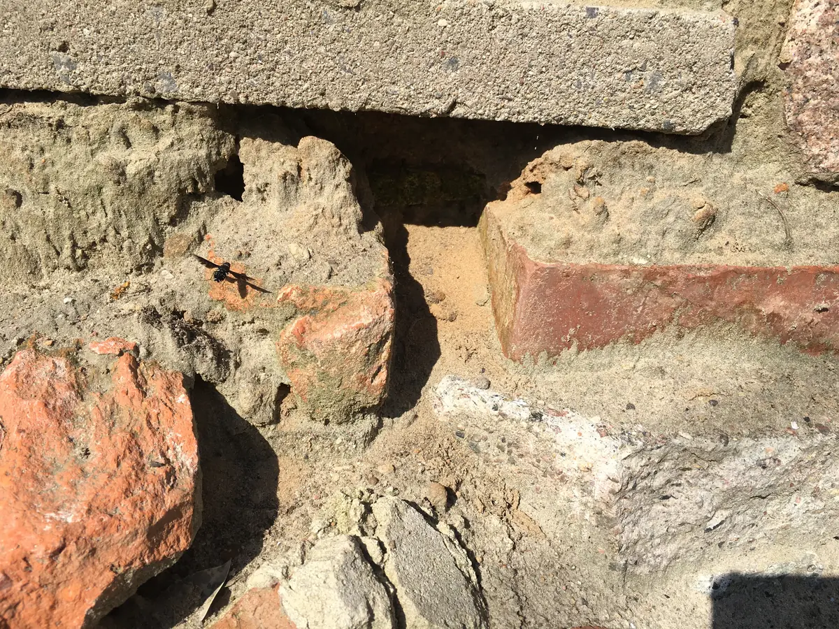 Ein Schwenk nach links