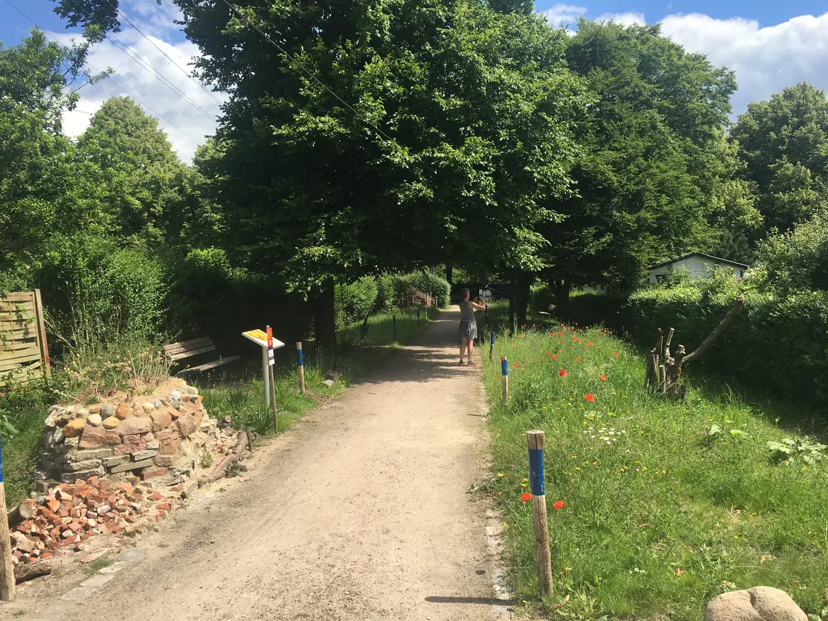 Erster Wiesen-Sommer – von Passantinnen gern fotografiert