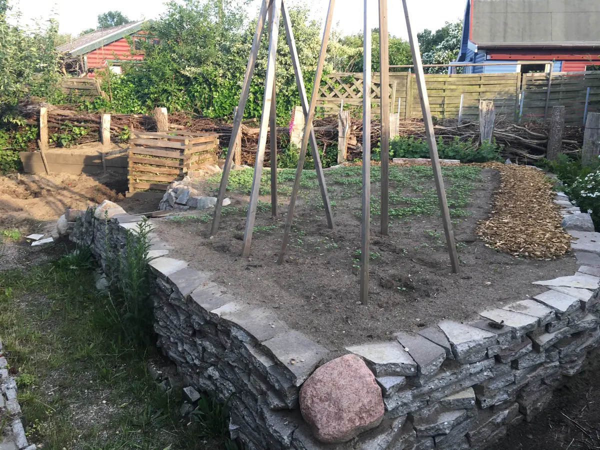 Fertiggestellt – Gründünger sprießt und Rankhilfen für Bohnen stehen bereit