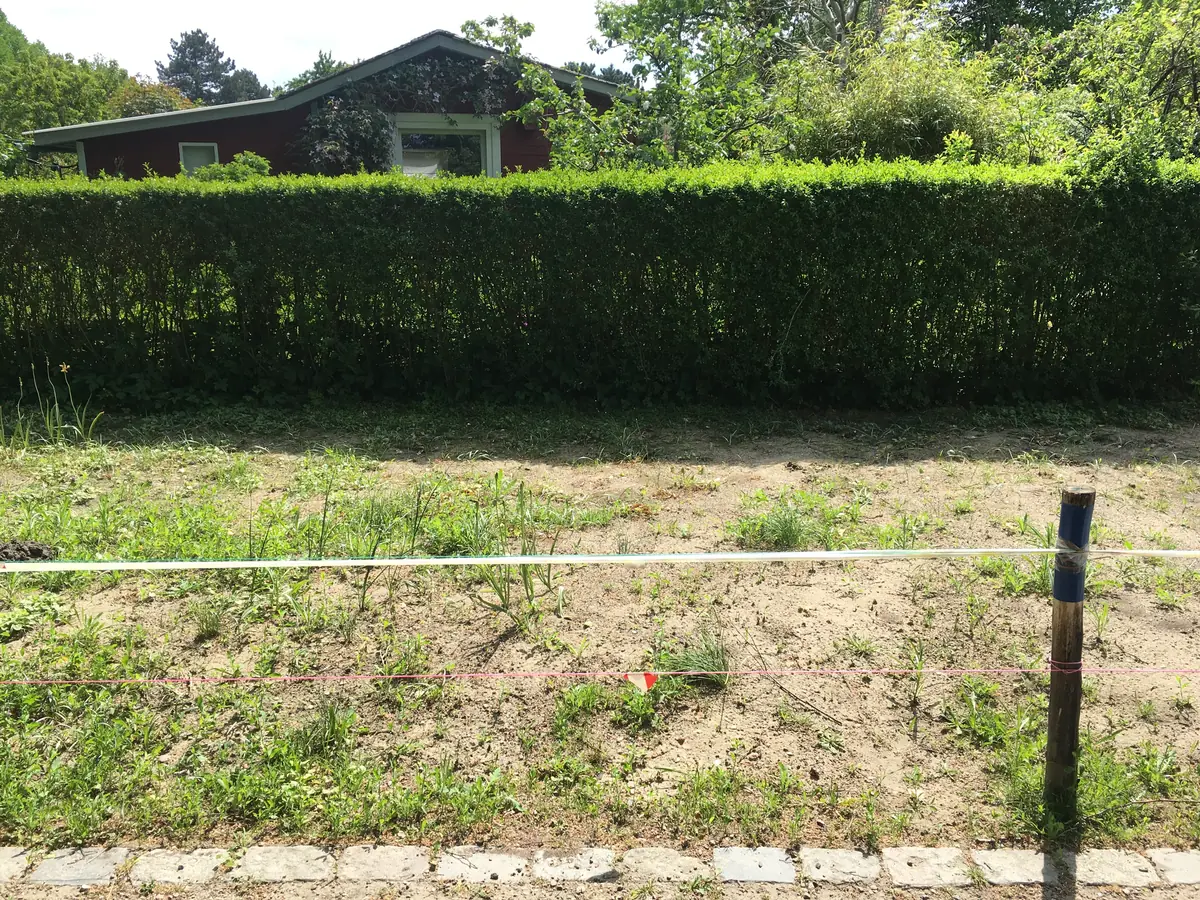 Mai – Zwiebeln verblüht, die Wiese ergrünt