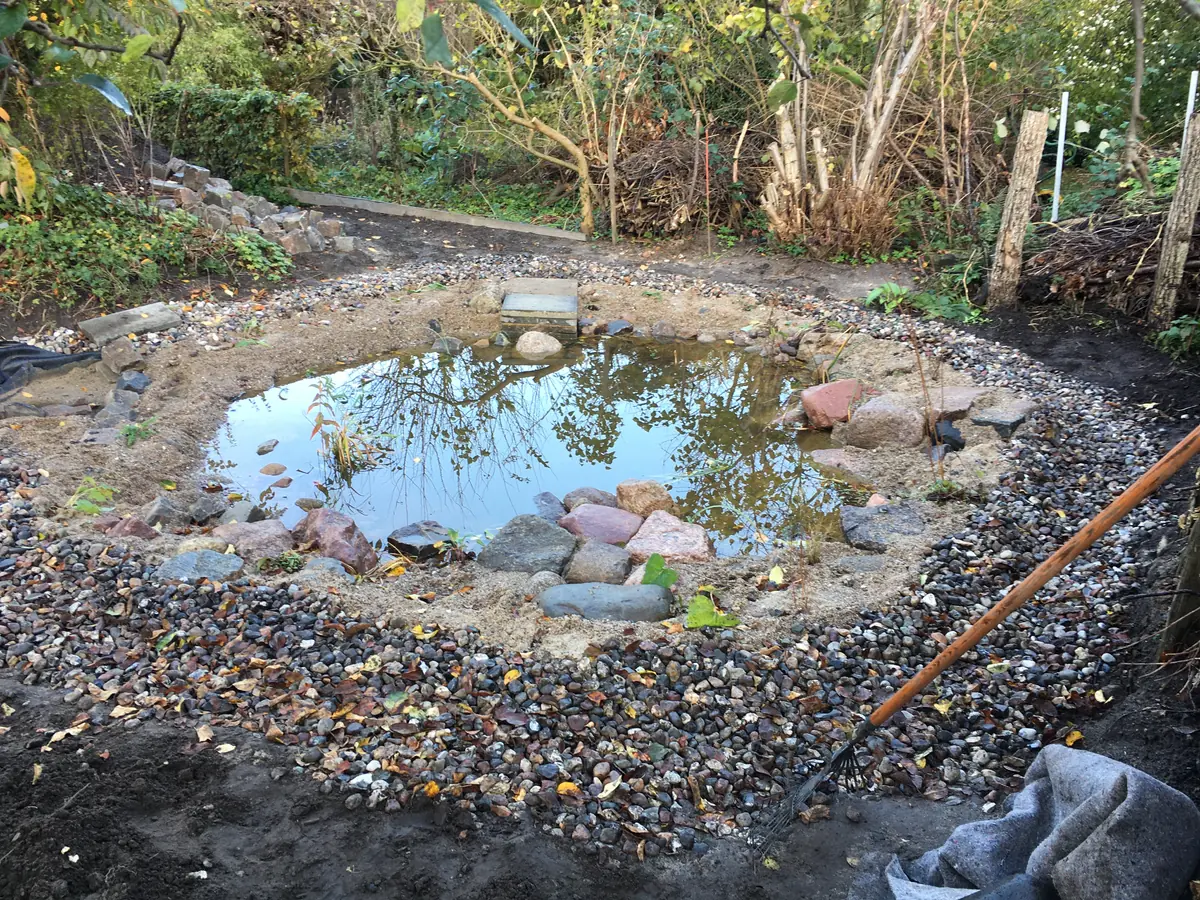 Nach Fertigstellung der Kapillarsperre und Bepflanzung ist der Teich fast vollendet