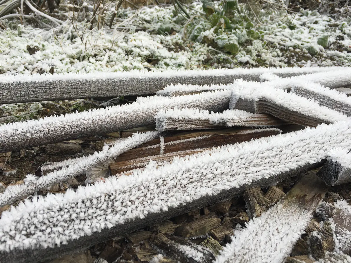 Winterpause