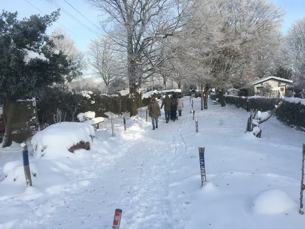 Sonntagsspaziergang an der Blumenwiese im Schneekleid